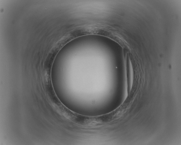 X0000074310597200609081944