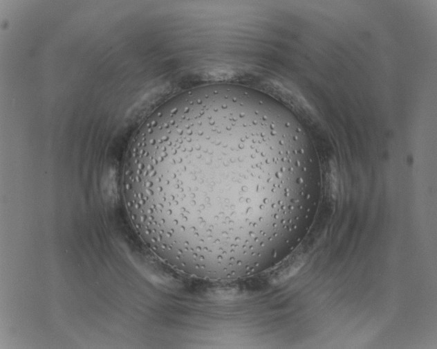 X0000074310598200609081944