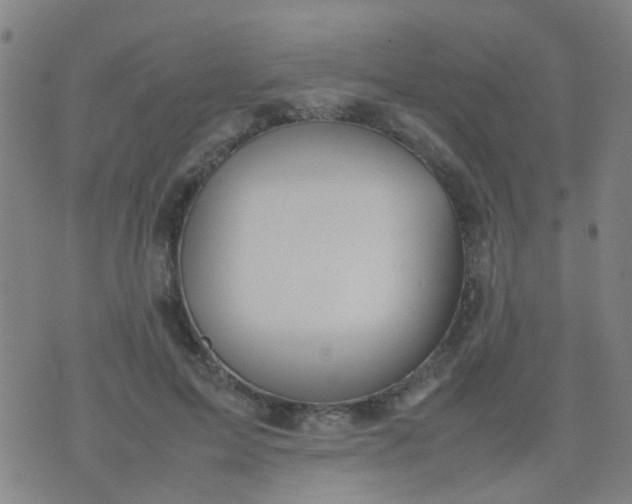 X0000074310599200609081944