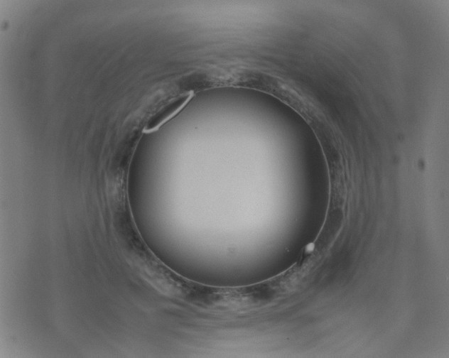 X0000074310601200609081944