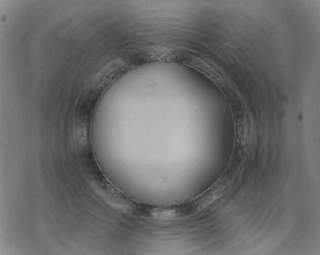 X0000074310602200609081944