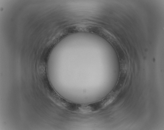 X0000074310603200609081944