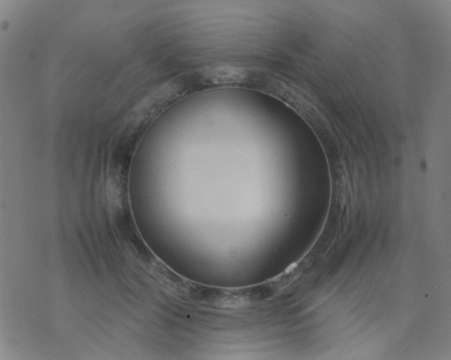 X0000074310604200609081944