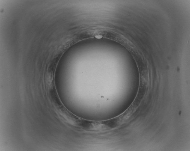 X0000074310605200609081944