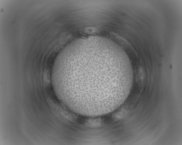 X0000074310606200609081944