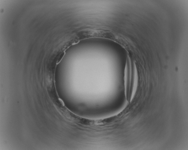 X0000074310607200609081944