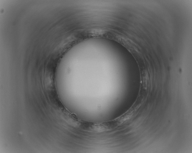 X0000074310608200609081944