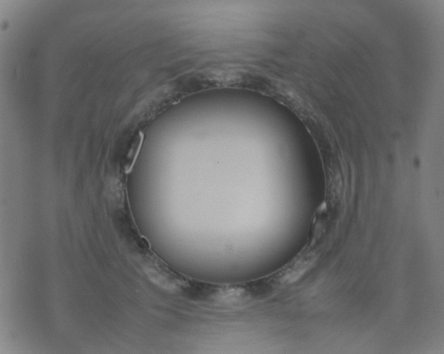 X0000074310609200609081944