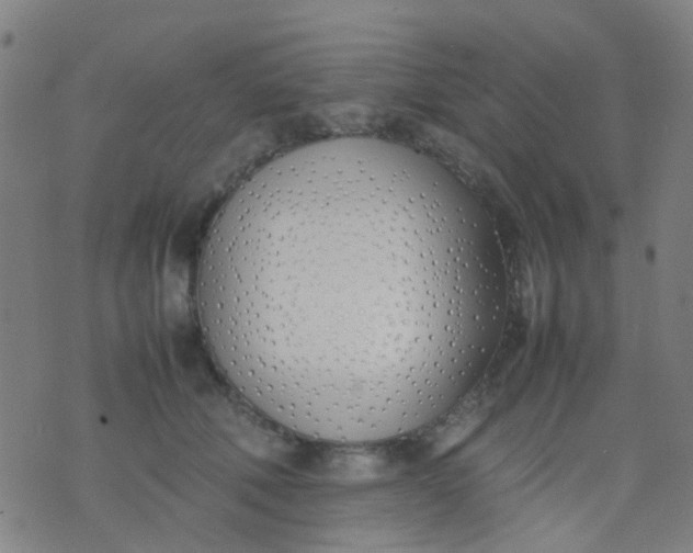 X0000074310610200609081944