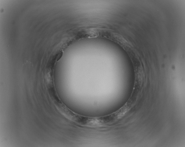 X0000074310611200609081944