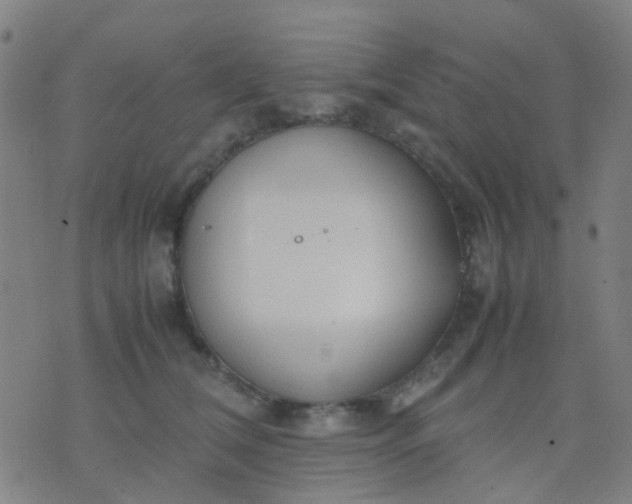 X0000074310612200609081944