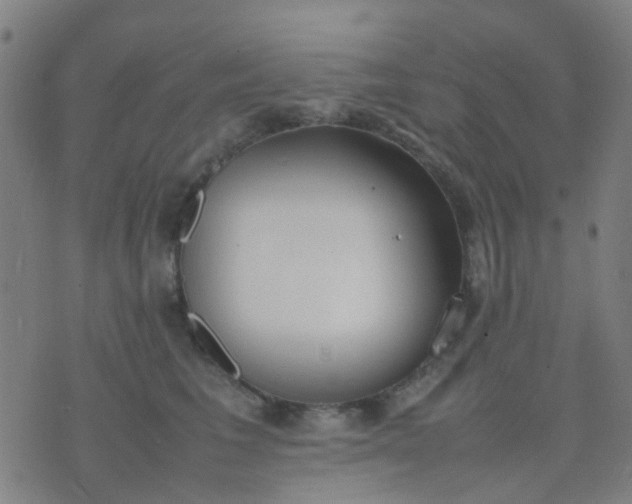 X0000074310613200609081944