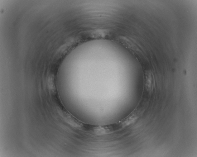 X0000074310616200609081944