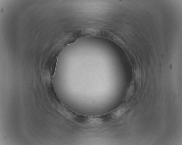 X0000074310617200609081944