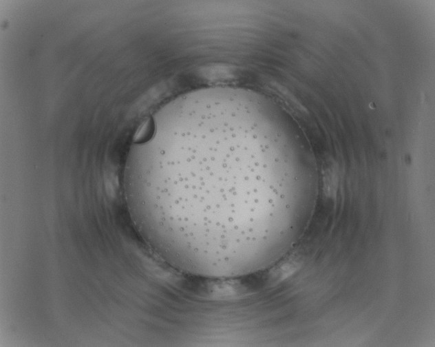 X0000074310618200609081944