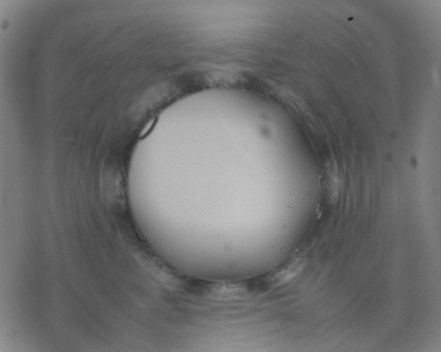 X0000074310619200609081944