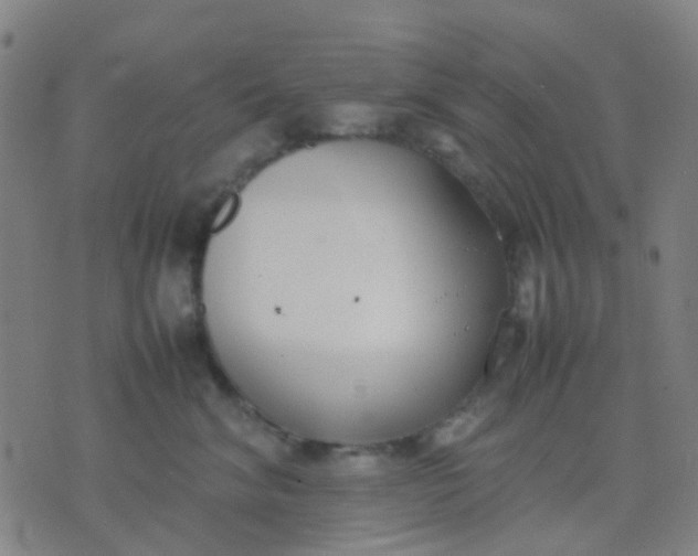 X0000074310620200609081944