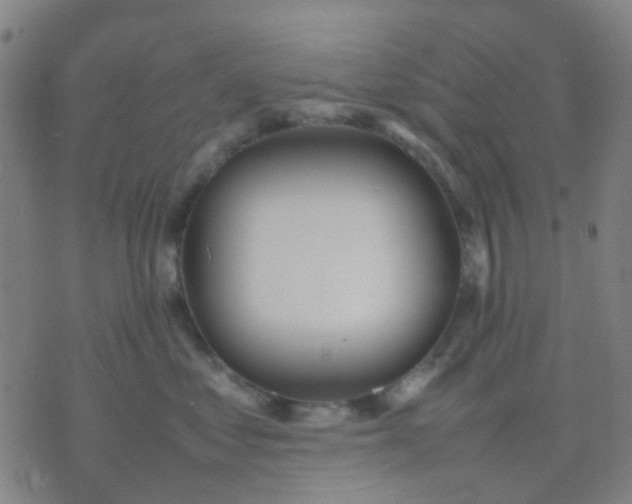 X0000074310621200609081944