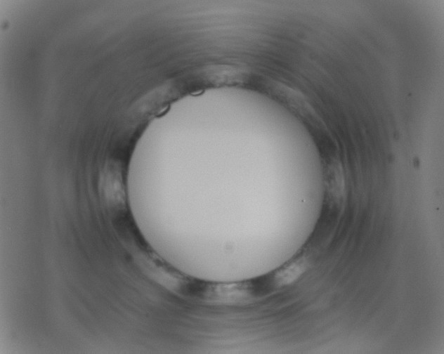 X0000074310622200609081944