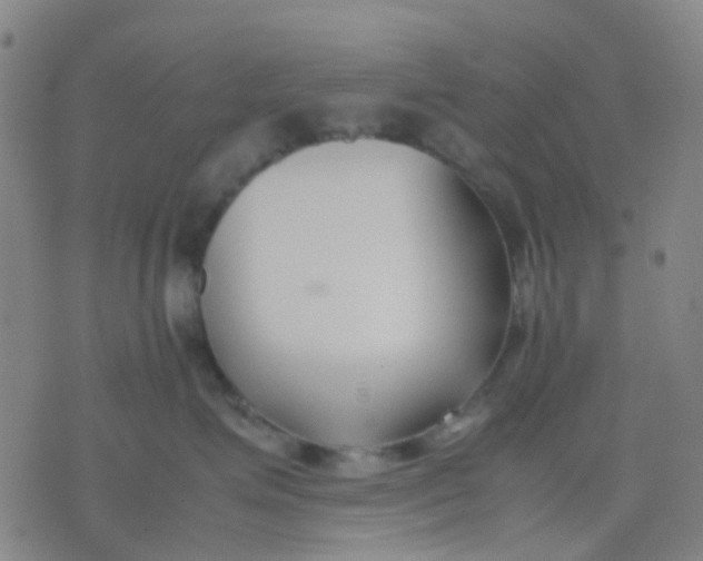 X0000074310623200609081944