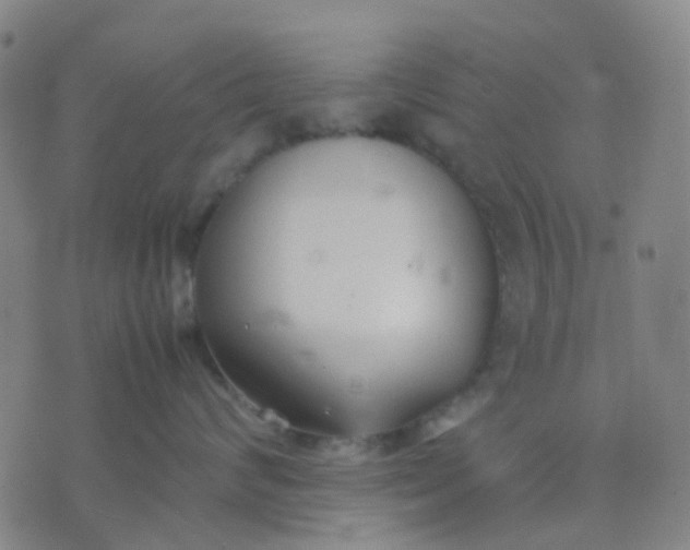 X0000074310624200609081944