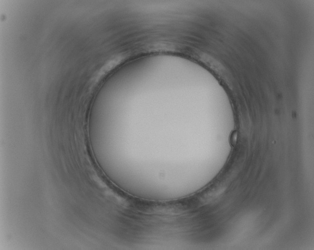 X0000074310625200609081943