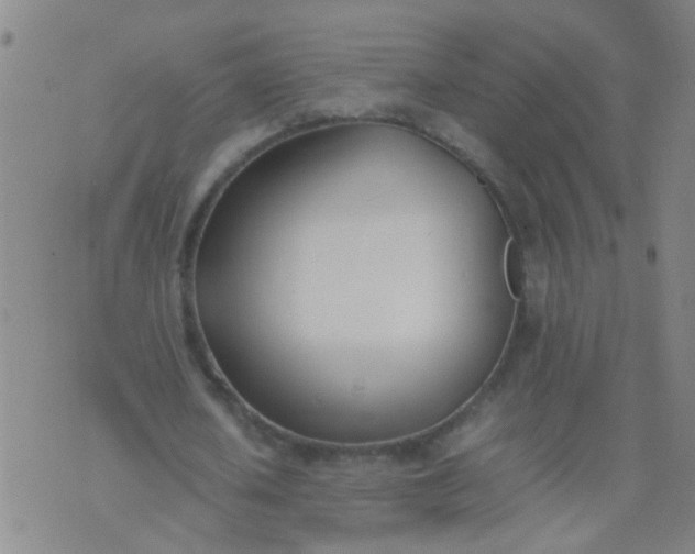 X0000074310626200609081943