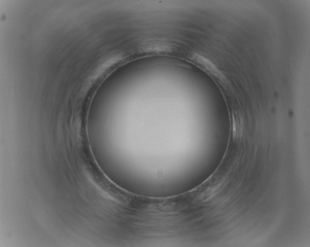 X0000074310627200609081943