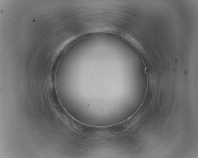 X0000074310628200609081943