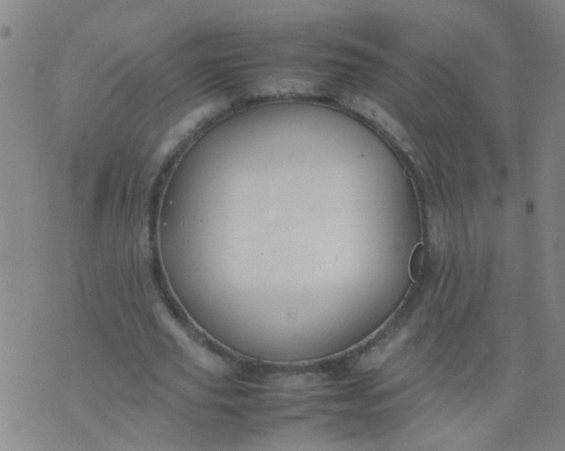 X0000074310629200609081943