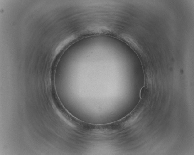 X0000074310630200609081943