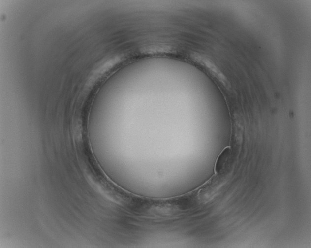 X0000074310631200609081943