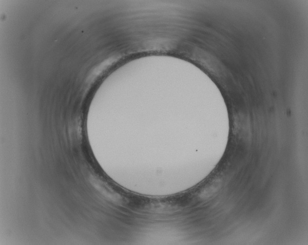 X0000074310632200609081943