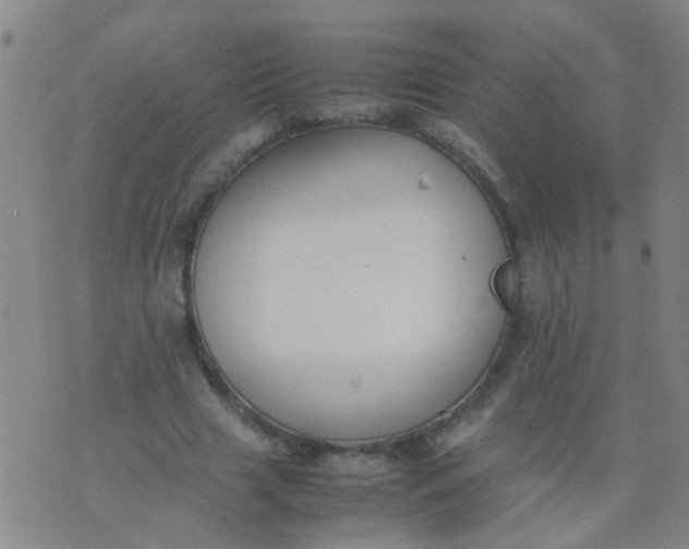 X0000074310633200609081943