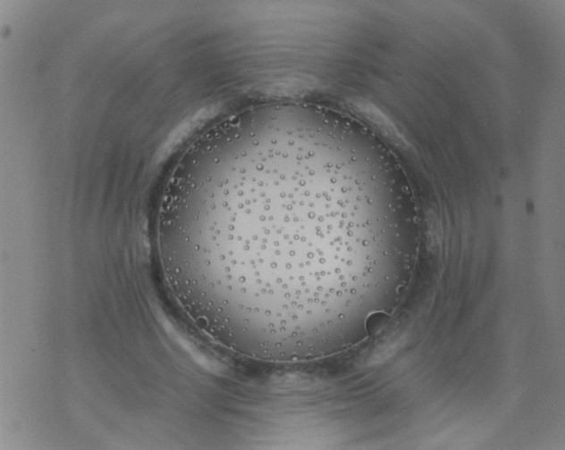 X0000074310634200609081943