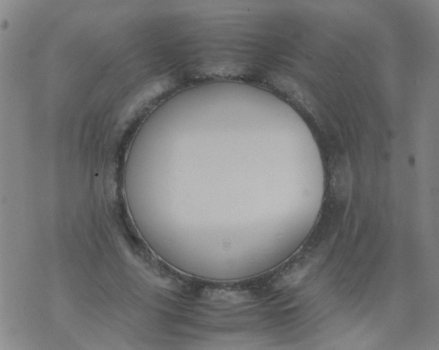 X0000074310635200609081943