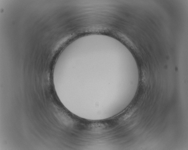 X0000074310636200609081943