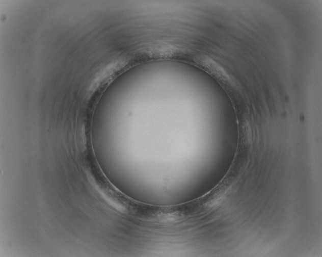 X0000074310638200609081943