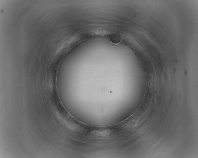 X0000074310639200609081943