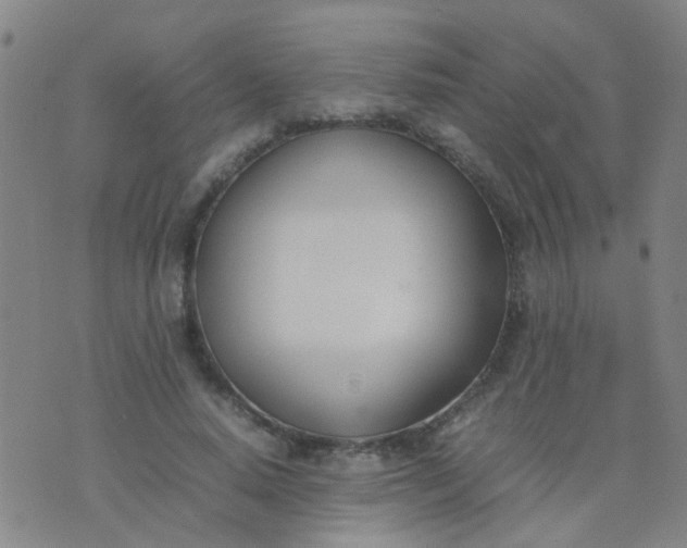 X0000074310640200609081943