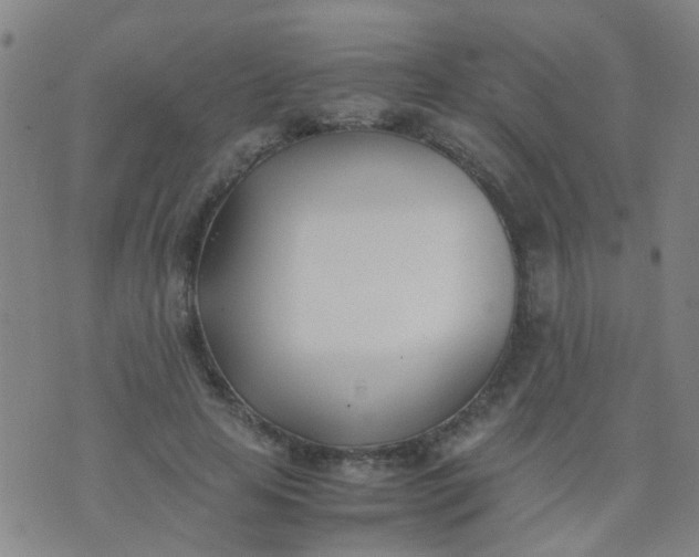 X0000074310641200609081943