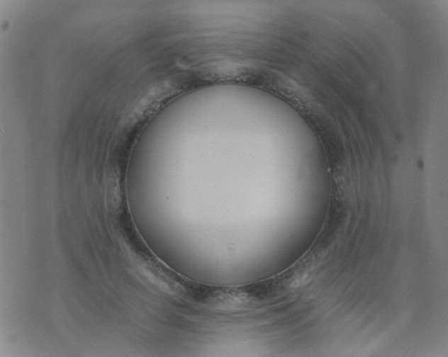 X0000074310642200609081943