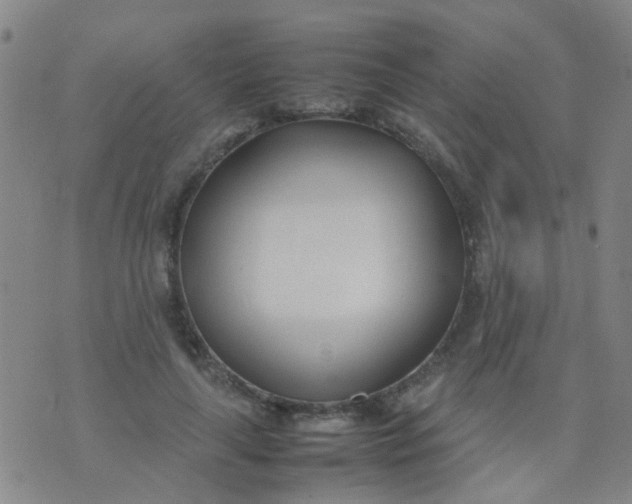 X0000074310643200609081943