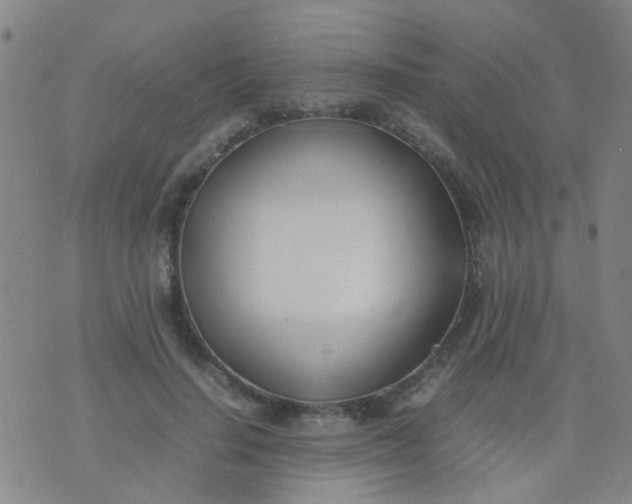 X0000074310644200609081943