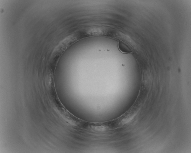 X0000074310645200609081943