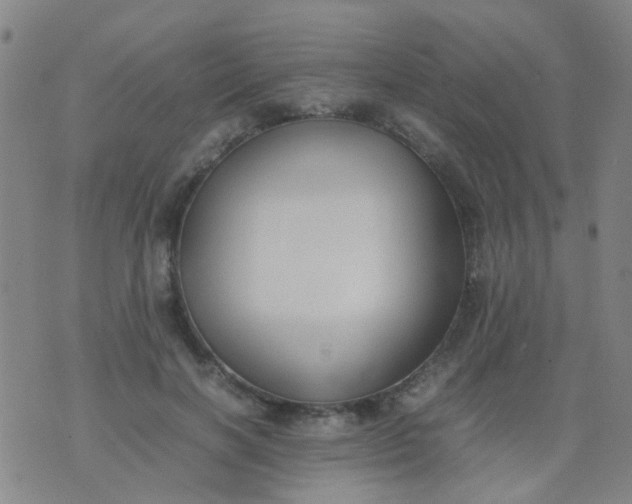 X0000074310646200609081943