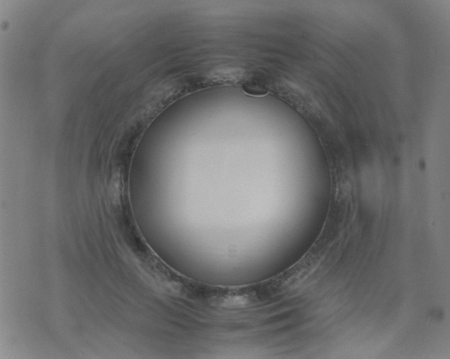 X0000074310647200609081943