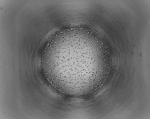 X0000074310648200609081943