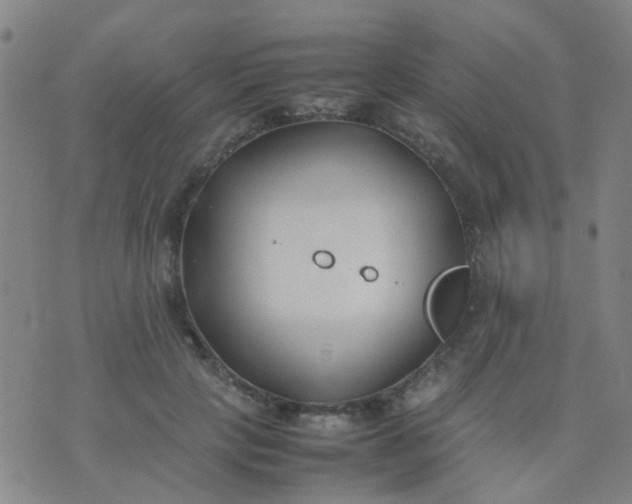 X0000074310649200609081943