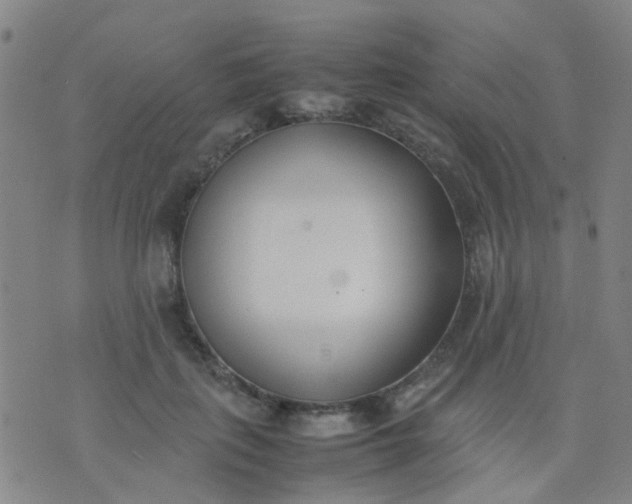 X0000074310651200609081943